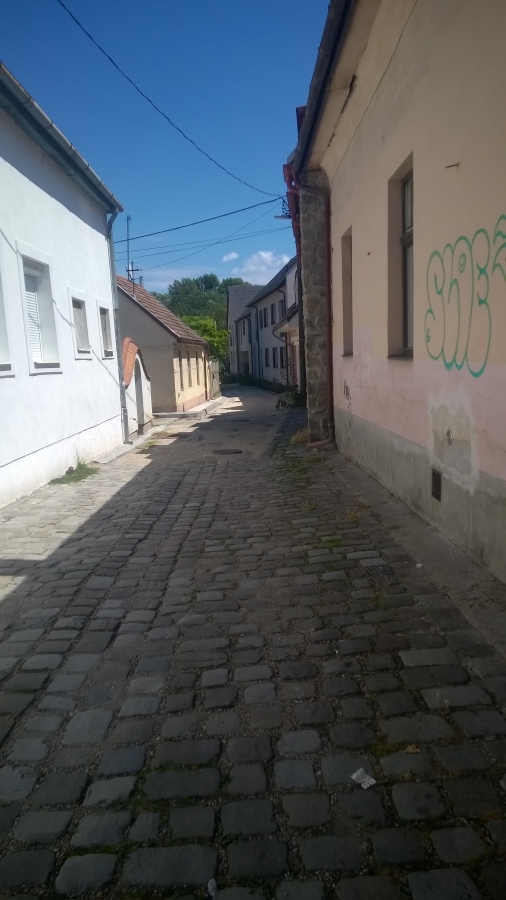Lorem ipsum dolor sit amet, consectetur adipiscing elit