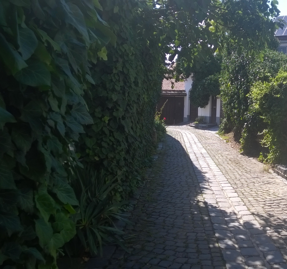 Lorem ipsum dolor sit amet, consectetur adipiscing elit