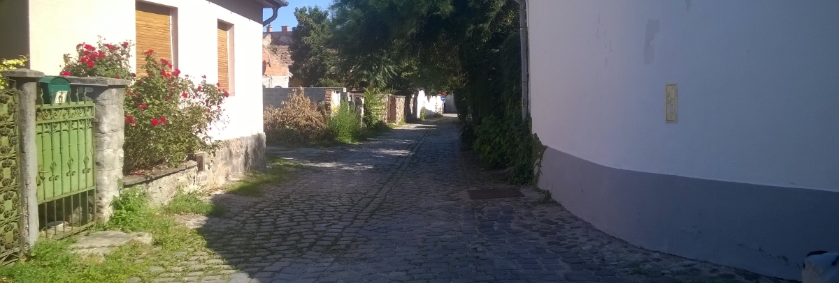 Lorem ipsum dolor sit amet, consectetur adipiscing elit